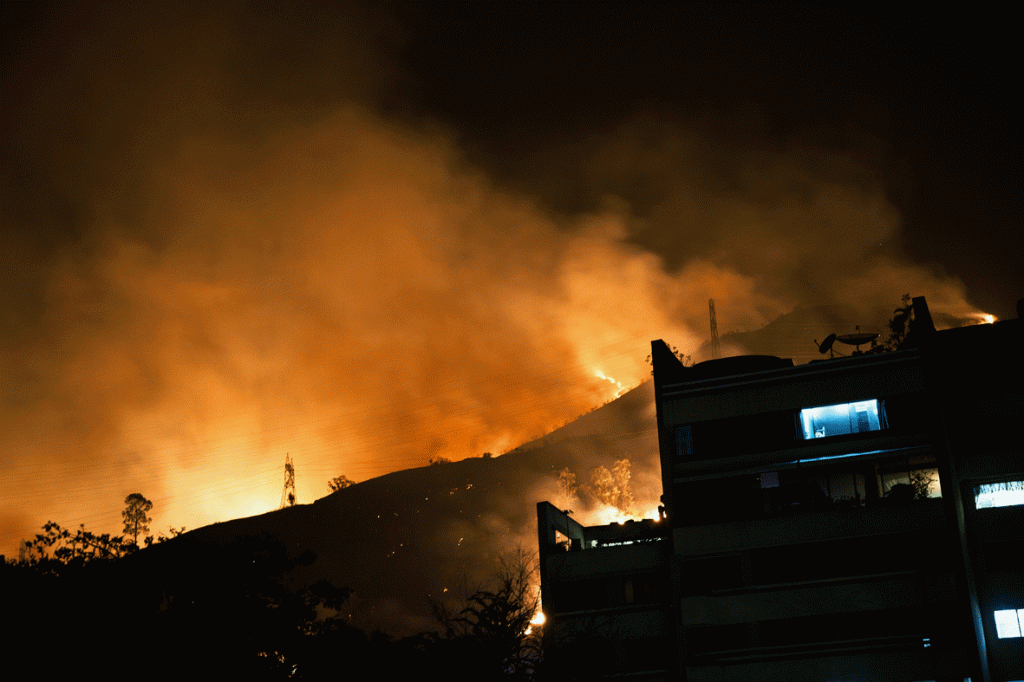 Título:FIR_01_3342 Año:2011